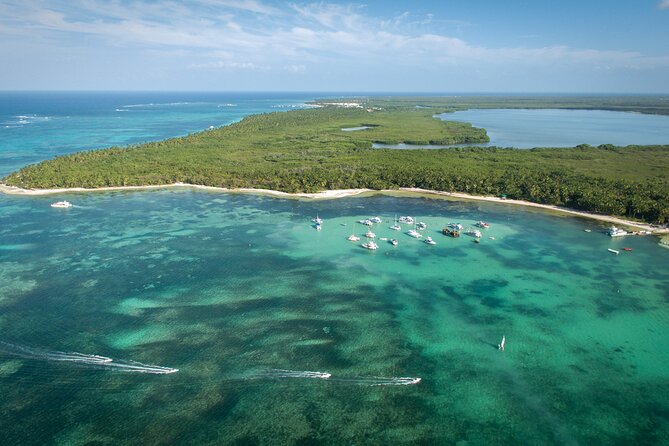 Small Group Punta Cana Snorkeling with Premium Open Bar - Getting There Smoothly: Pickup and the 3.5-Hour Pace