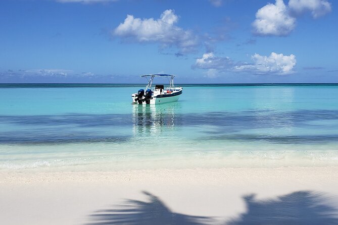Small Group: Saona Island Full Day Tour - Key highlights at a glance