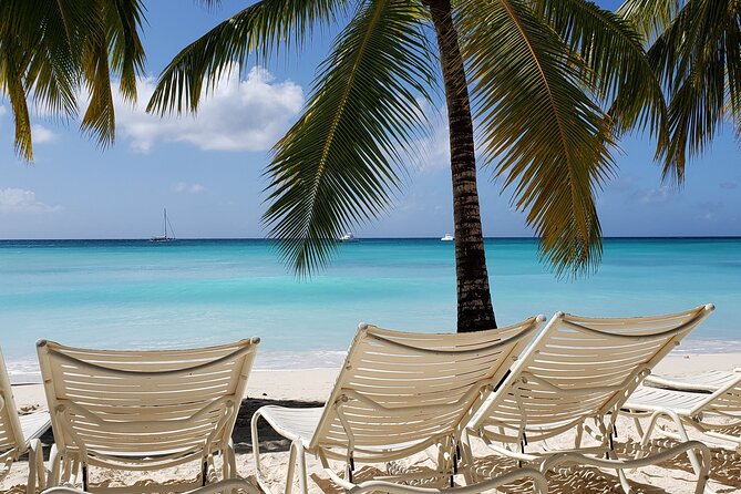 Small Group: Saona Island Full Day Tour - Why the 6:00 am start matters on Saona