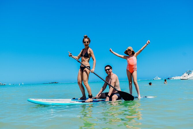 Small Group Snorkeling Cruise with Open Bar and Light Snacks - Snorkeling Gear, Guided Support, and What You Might See