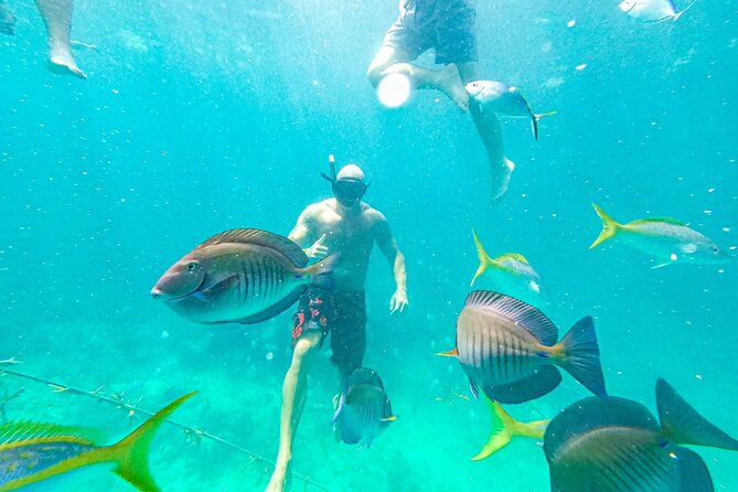 Snorkel Lovers for All Ages & Premium Seafood Lunch in Punta Cana - Who This Tour Suits Best (and Who Might Prefer Another Plan)