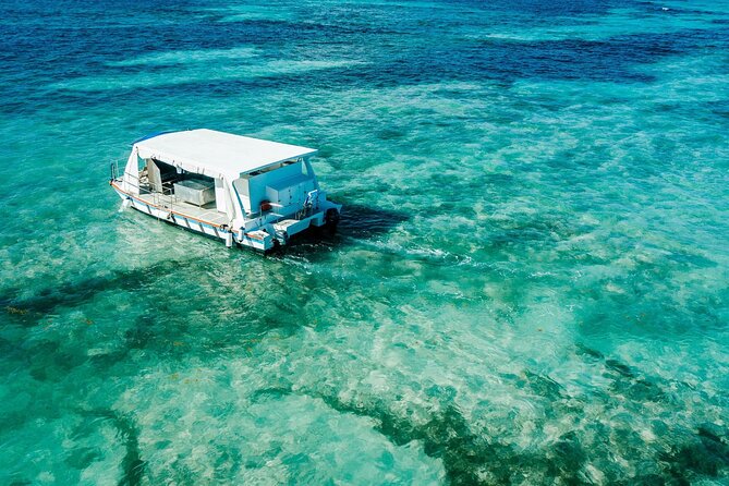 Snorkeling and Swimming on a Caribbean Cruise by Sharky Catamarans - Pickup and Mobile Ticket: Making the Morning Easier