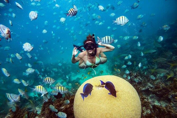 Snorkeling and Swimming on a Caribbean Cruise by Sharky Catamarans - Group Size, Adults Only, and Why That Changes the Experience