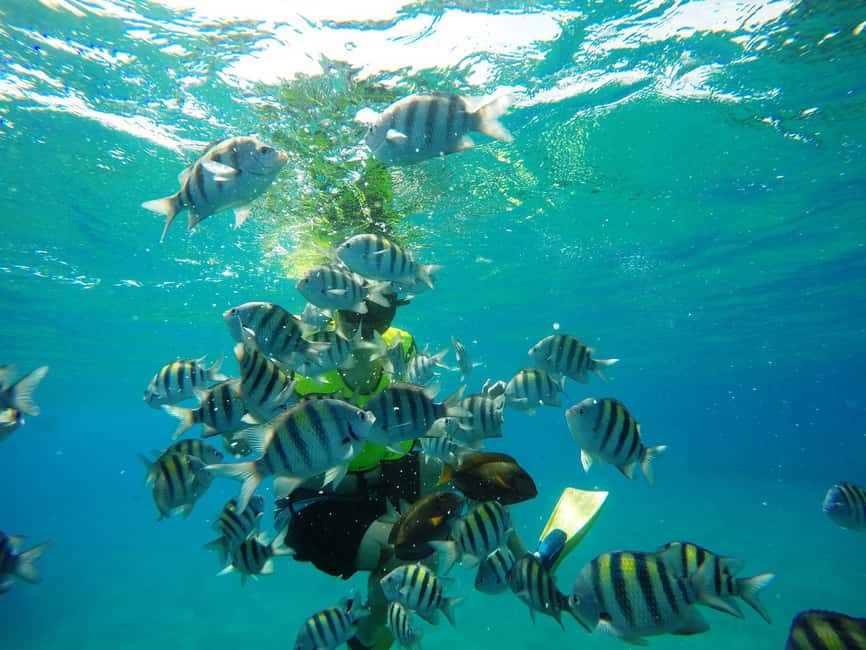 Snorkeling Tour & Sosua Beach Day - Key things that make this Sosua snorkeling day work
