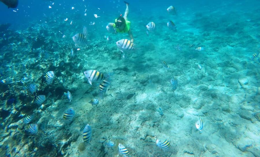 Snorkeling Tour & Sosua Beach Day - Sosua Bay, your starting line in warm water