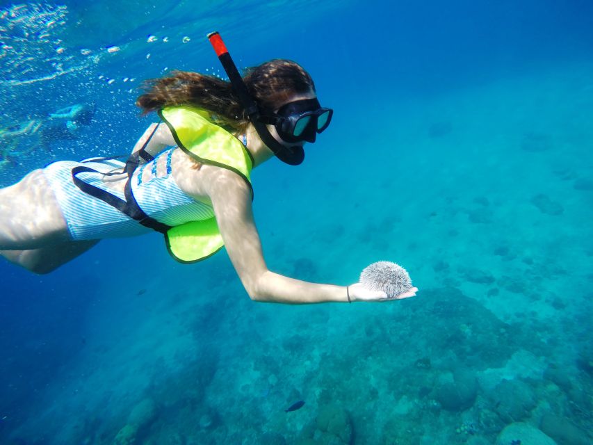 Snorkeling Tour & Sosua Beach Day - A quick reality check on the underwater experience