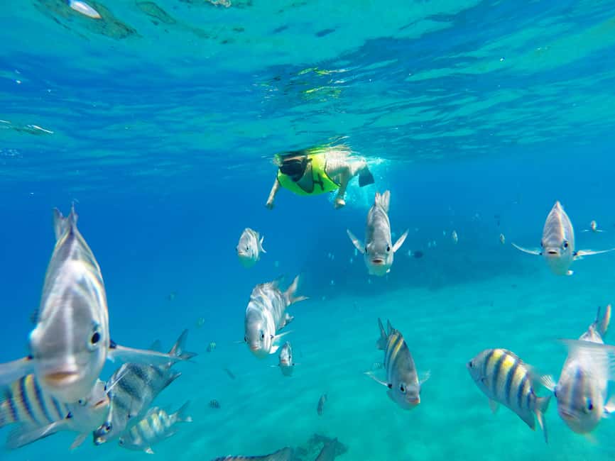 Snorkeling Tour & Sosua Beach Day - Boat time to Three Rocks, then back to Sosua Bay