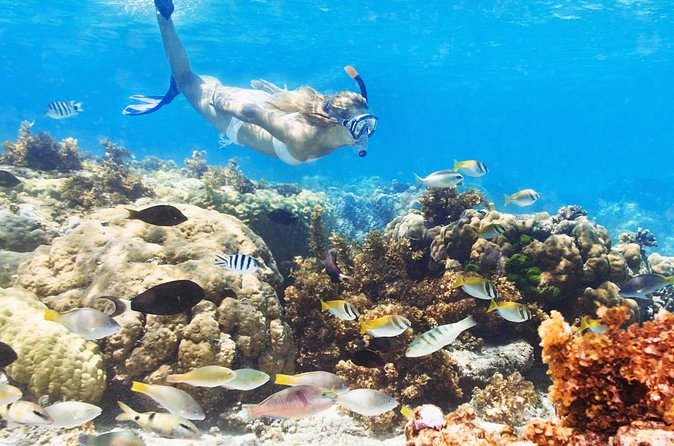 Snuba Snorkelking Parasailing and Catamaran Pack - Price and value: is $160 actually worth it?