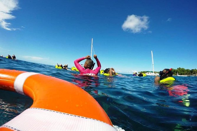 Sosua Catamaran Excursion - From Sosua Beach to Ocean World Marina: How the Day Flows