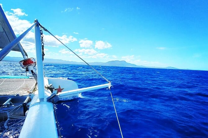 Sosua Catamaran Excursion - Two Reef Snorkels: What You’ll Do in the Water