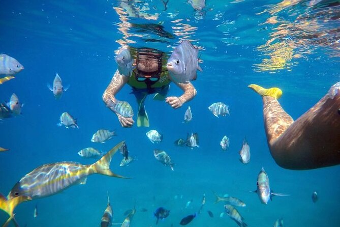 Sosua Party Boat -Snorkeling-Brunch-Drinks-Snacks-Transportation - Brunch BBQ and drinks: what’s actually included