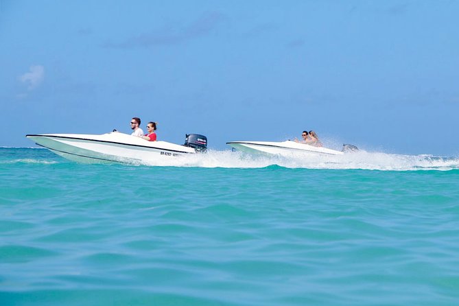 Speed Boat in Punta Cana - Coral reef snorkeling: gear included, fish are the real payoff