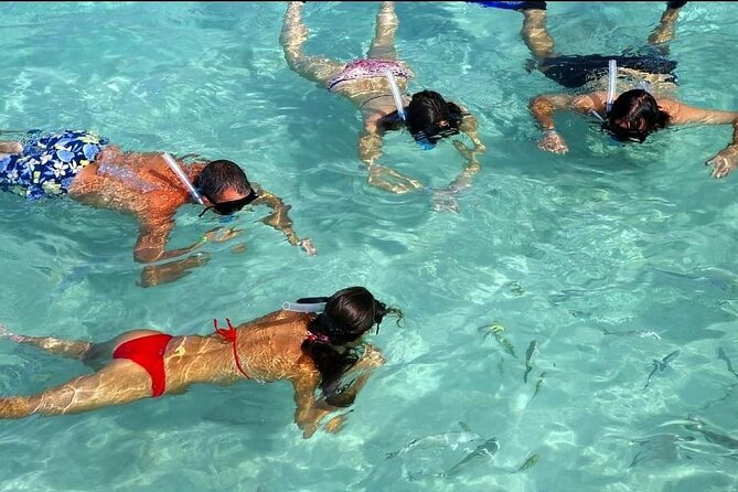 Speed Boat Ride and Snorkel Experience in Punta Cana - Price and Value: Is $58 Worth It?
