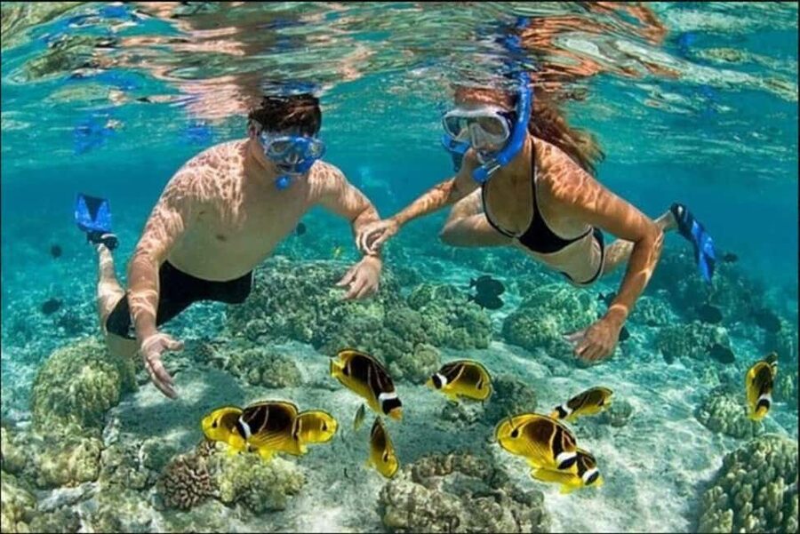 Speedboat Adventure and Snorkeling from Punta Cana - Where the Day Starts in Bávaro (And Why It’s Convenient)