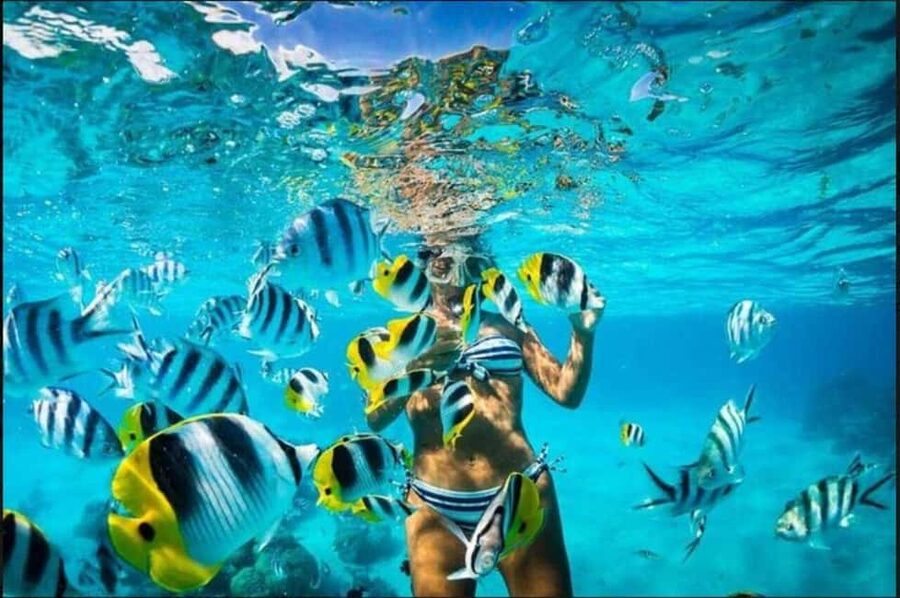 Speedboat Adventure and Snorkeling from Punta Cana - How the Guide Makes the Difference (Especially With Photos and Instructions)