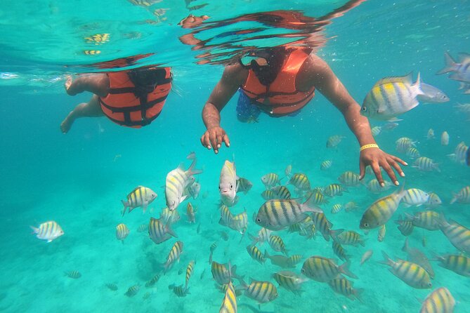 Speedboat Adventure to Snorkeling Spot and Natural Pool - Price and Value: Why $73 Can Work for the Right Traveler