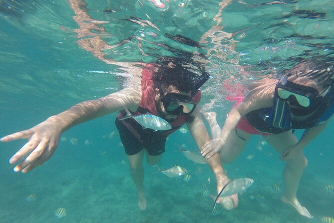 Speedboat Sailing with Snorkeling Experience in Punta Cana - What the $90 price includes, and why it still makes sense