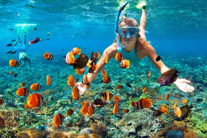 Speedboat & Snorkeling from Punta Cana - Natural Pool stop: pretty water, party energy, and boat crowds