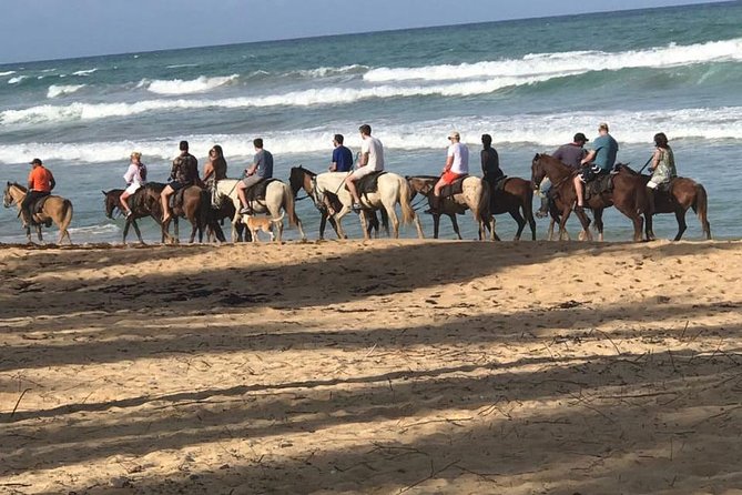 Sunset beach horsebackriding Punta Cana - Key things that make this ride memorable