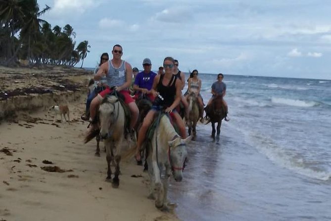 Sunset beach horsebackriding Punta Cana - The countryside route: palms, coconut water, and the Maimon River mouth