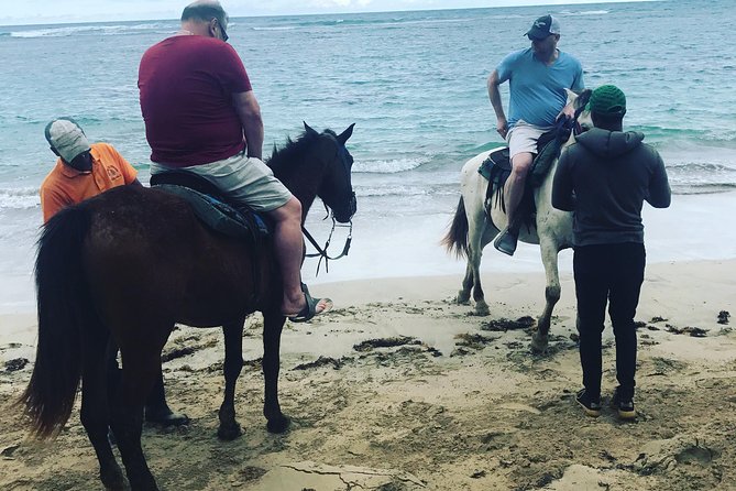 Sunset beach horsebackriding Punta Cana - Safety, instruction, and how calm rides really work