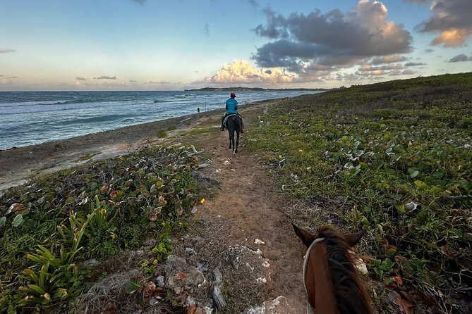 Sunset Horseback Ride at Macao Beach & Forest with Transfers - Price and what $61 buys you in real time