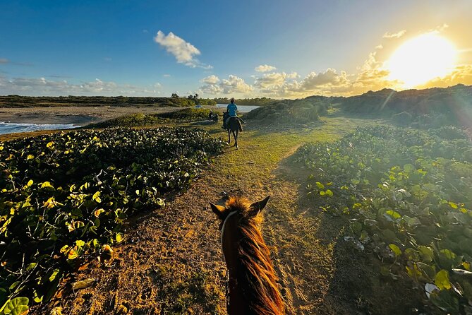 Sunset Horseback Ride at Macao Beach & Forest with Transfers - Rio Maimon: 45 minutes by a river that meets the sea
