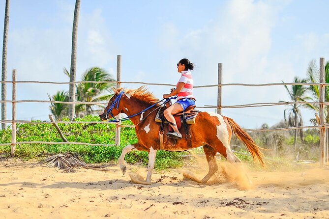 Sunset Horseback Riding Tour in Punta Cana (Private Option) - The trail to Boca de Maimón: tropical forest, then the river-to-sea moment