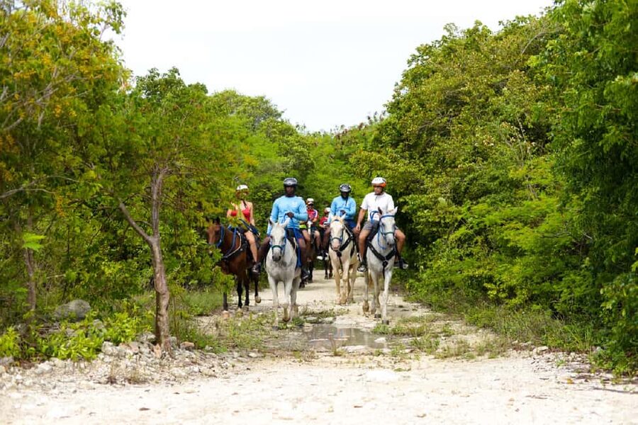 Swim Horse fom Punta Cana - Natural springs and the turquoise water moment