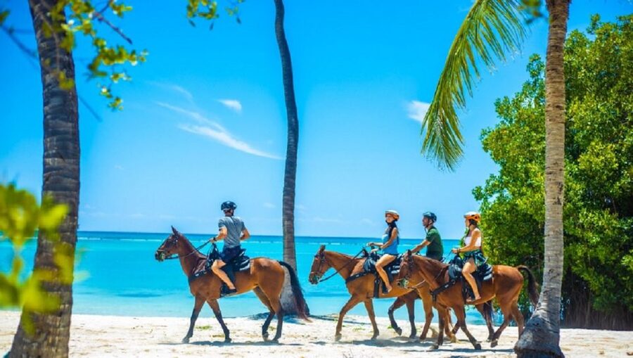 Swim Horse fom Punta Cana - Price, included value, and what you should plan for