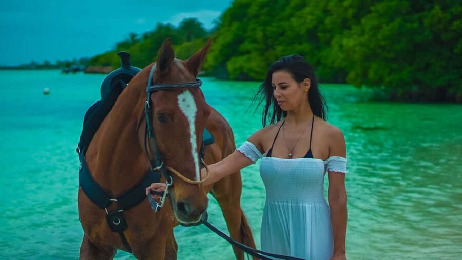 Swim Horse fom Punta Cana - From hotel pickup to a horse ride through tropical paths