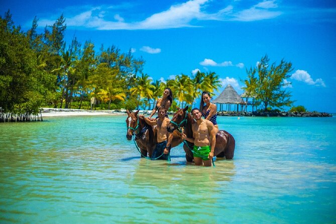 Swimming with Horses at the Beach from Punta Cana Free transportation - Key highlights to know before you go