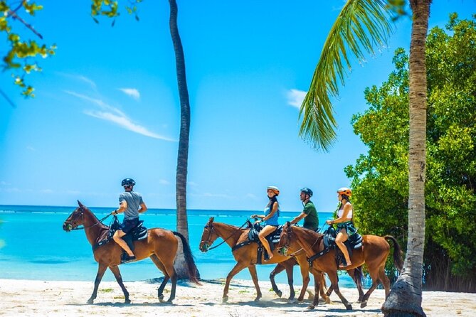 Swimming with Horses at the Beach from Punta Cana Free transportation - The ride starts at Punta Cana’s forest edge, not a random parking lot