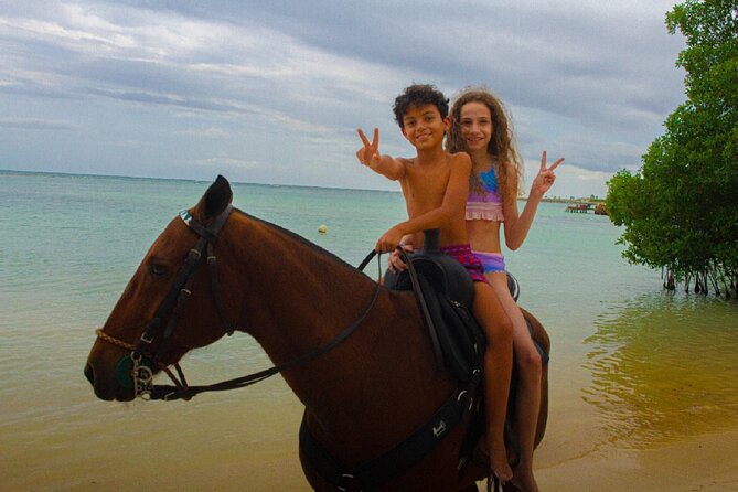 Swimming with Horses at the Beach from Punta Cana Free transportation - Price and value: is $119 fair for horses, transport, and a reserve visit?