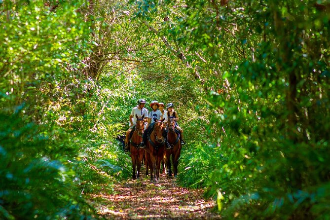 Swimming with Horses at the Beach from Punta Cana Free transportation - Safety and fitness: who this is best for