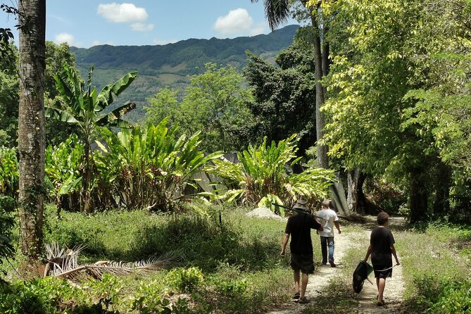 Taino Valley Tropical Park Puerto Plata Tubagua - Key points before you go
