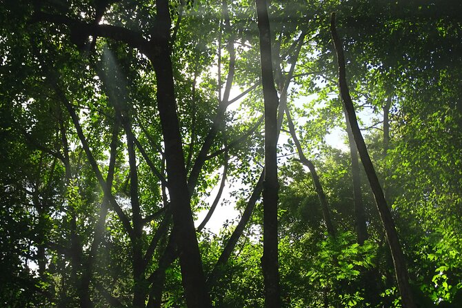 Taino Valley Tropical Park Puerto Plata Tubagua - Why Taino Valley Tropical Park is more than a garden walk