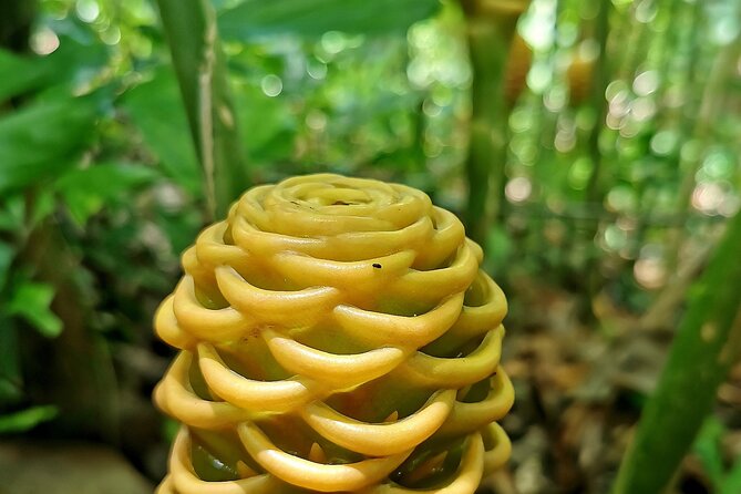 Taino Valley Tropical Park Puerto Plata Tubagua - What’s included (and what to plan to pay for)