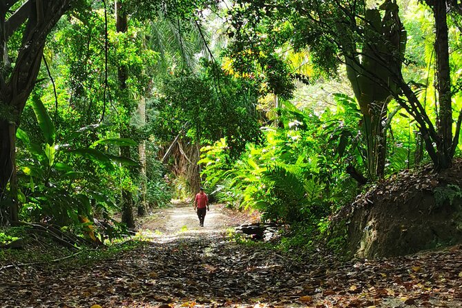 Taino Valley Tropical Park Puerto Plata Tubagua - Who should book this tour (and who might not love it)