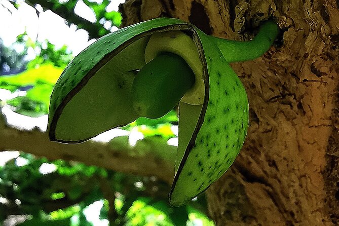 Taino Valley Tropical Park Puerto Plata Tubagua - Practical tips to get the most from the visit