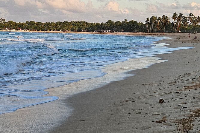 The best buggy/Atv atv punta cana - Price and Value: What $30.40 Buys in Real Time