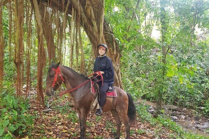 The Ultimate Dominican Horseback Riding Adventure - Key things to notice before you book
