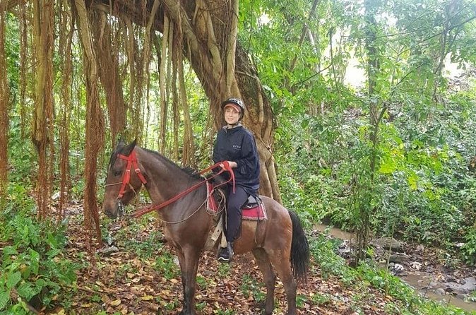 The Ultimate Dominican Horseback Riding Adventure - The mountain-top panorama: 360-degree views and time to savor it
