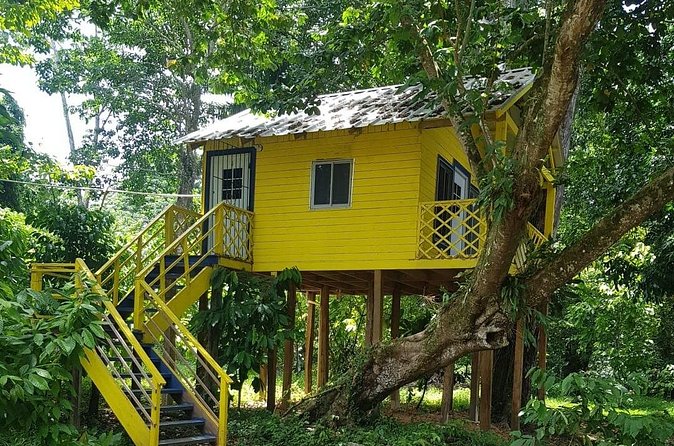 The Ultimate Dominican Horseback Riding Adventure - Cocoa planting, wild fruit, and the little cultural touches that make it feel real