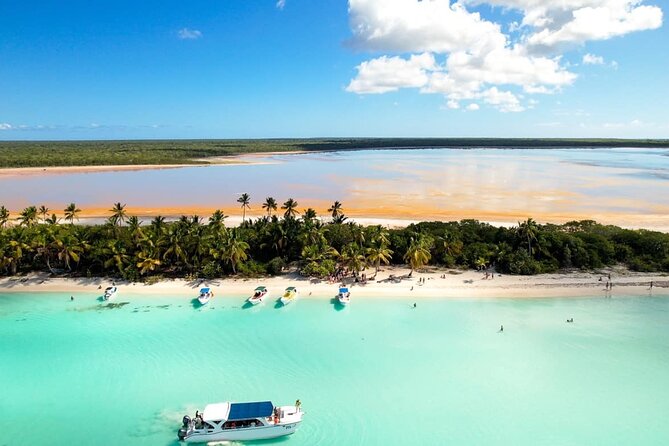Tour to Isla Saona From Punta Cana with Transportation and Lunch - Price and value: how $79 holds up for an 8-hour island day