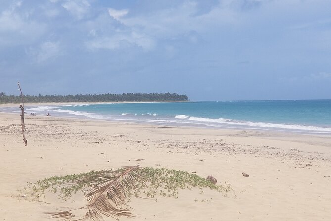 Tour to Montana Redonda and Emerald Coast Beach - Playa Esmeralda: Virgin-Feel Beach Time With Calm Green Water