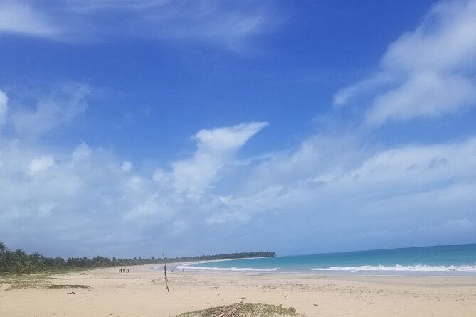 Tour to Montana Redonda and Emerald Coast Beach - Guides: When Personalized Service Makes It Worth More