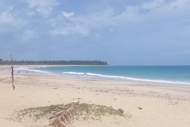 Tour to Montana Redonda (Round Montain) & Costa Esmeralda Beach - Playa Esmeralda: forest transfer, then beach relaxation