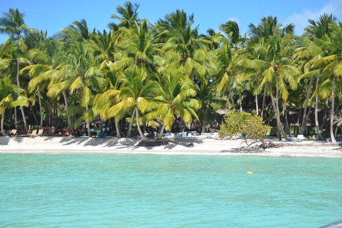 Tour to Saona Island with Lunch and Transportation - Who should book this Saona tour (and who should think twice)