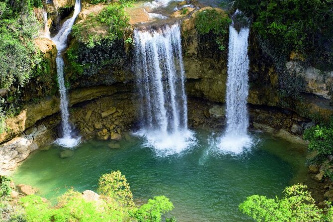 Tour with Whale Watching in Samaná, Beach and Waterfall - The Whale Season Part: Why Timing in Samaná Actually Matters